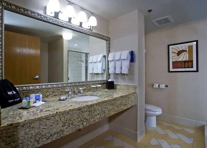 Hotel Doubletree By Hilton Chicago O'hare Airport-rosemont Rosemont