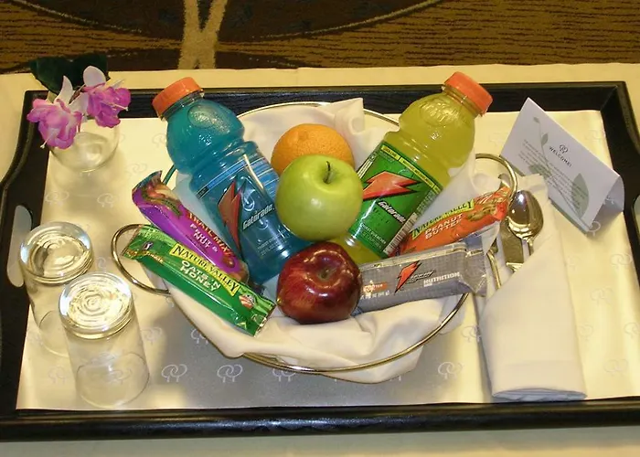 Doubletree By Hilton Chicago O'hare Airport-rosemont Hotel